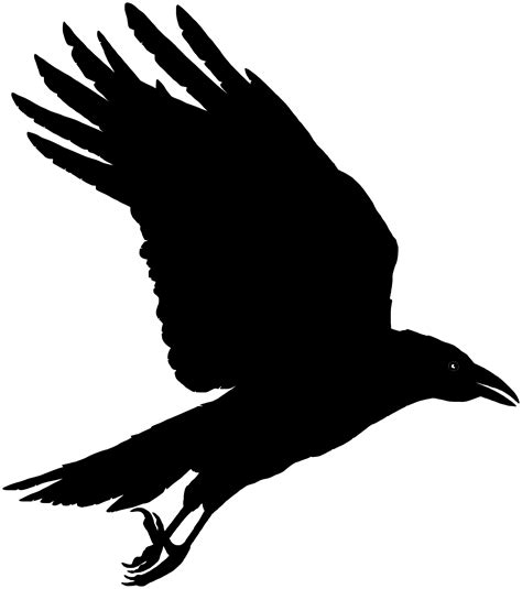 flying crows silhouette|free crow silhouette clip art.